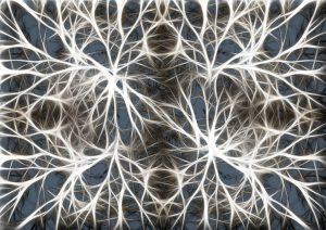neurons-582054_960_720